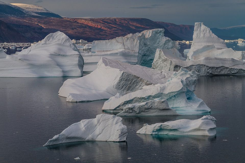 Як ваш одяг забруднює Арктику. В арктичних льодах виявили безліч синтетичних волокон.