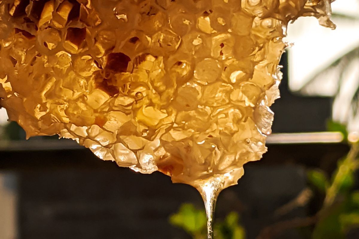 Чому цілющі властивості меду перебільшують і з чим це пов'язано. Чому не можна їсти багато меду.