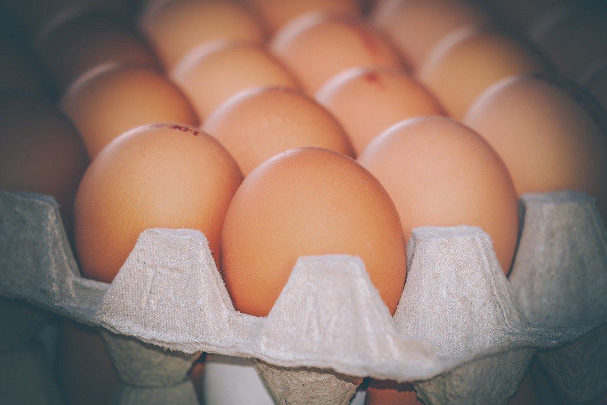 Для чого деякі господині зберігають курячі яйця в банці. Цікавий спосіб зберігання яєць.