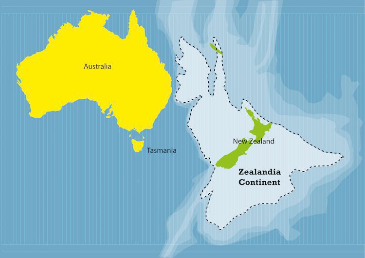 Вчені виявили новий материк Зеландія, який на 94% знаходиться під водою. Таємниця сьомого континенту.