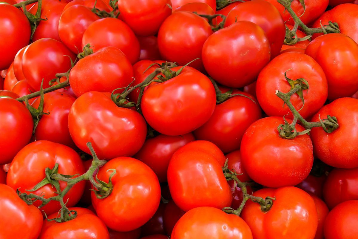 Чому насінням помідорів краще запастися вже у січні. Не відкладайте покупку на останній день.