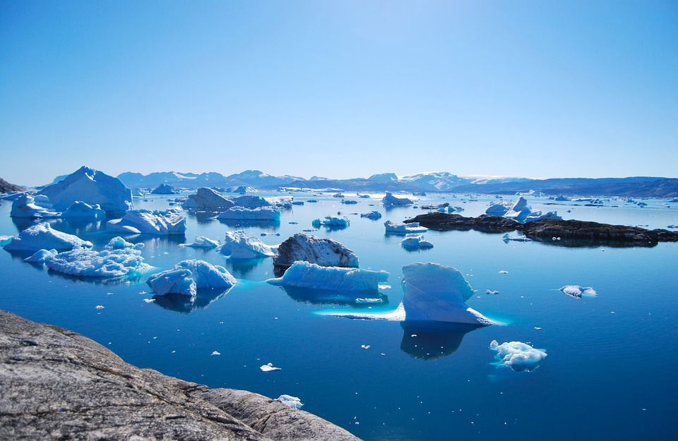 У таненні льодовиків Гренландії винні водорості. Темні водорості скорочують здатність крижаного покриву відбивати світло і тому регіон нагрівається все сильніше.