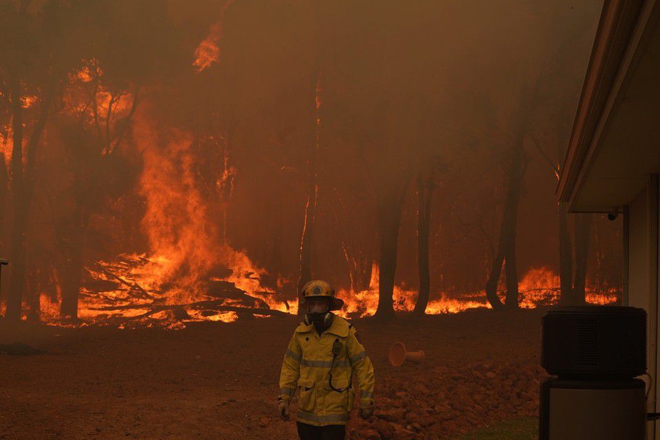 Сильні лісові пожежі вирують на заході Австралії. Горять тисячі гектарів рослинності, від будинків місцевих жителів залишається тільки попіл.