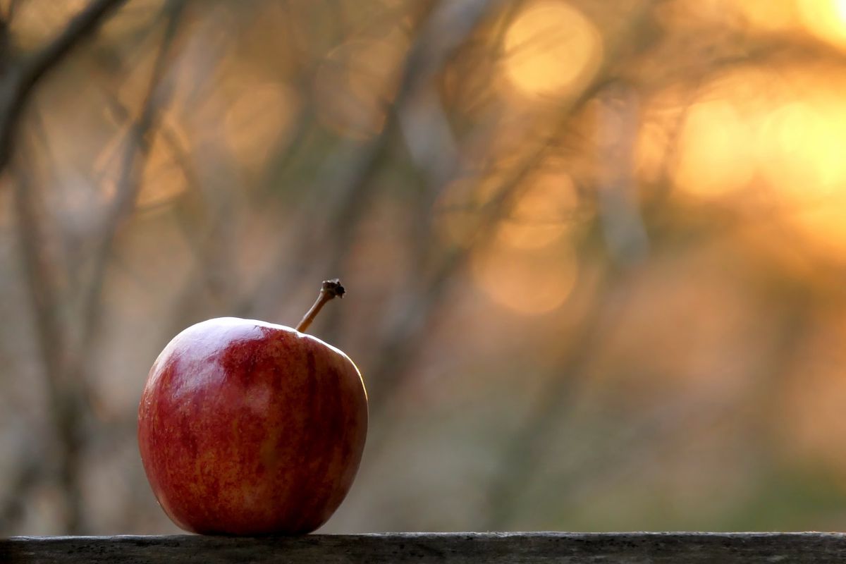 А ви знали що сила яблука — в його шкірці?. Чому саме шкірка яблука вважається найкориснішою.
