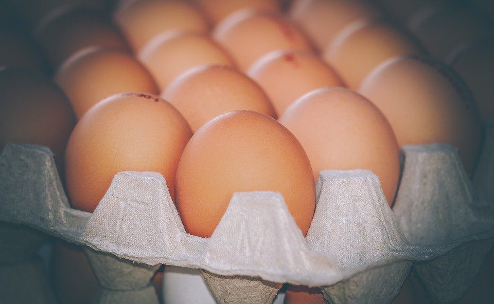 Вчені з Китаю заявили, що щоденне вживання яєць підвищує ризик смерті на 19%. Але дані розслідування потребують уточнення і повторної перевірки.