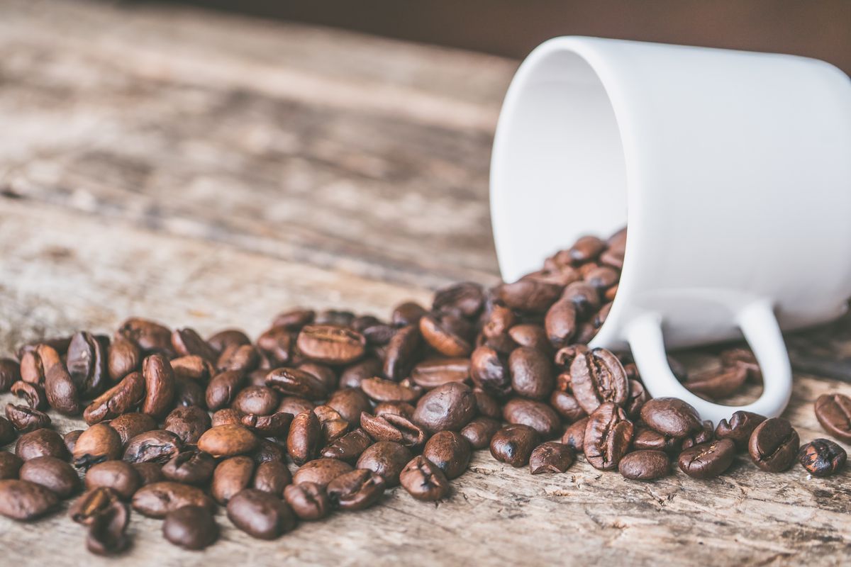 Як передбачити майбутнє та отримати цінні поради — просте ворожіння на кавових зернах. Отримайте швидку відповідь на хвилюючі питання.