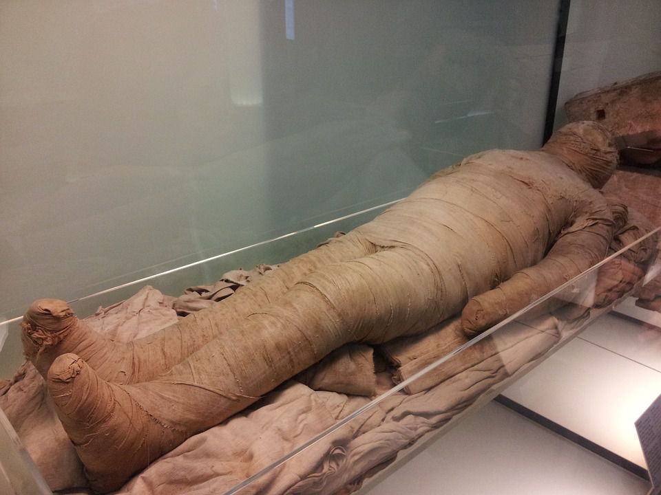 Вчені з'ясували, як загинув фараон Секененра-Таа II, який почав війну проти гіксосів. Про це свідчать дані комп'ютерної томографії мумії фараона.