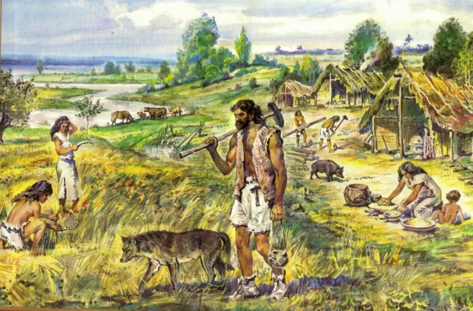 Стало відомо, як з'явилися собаки у древніх американців. Вчені вивчили стародавню кістку, знайдену на Алясці.