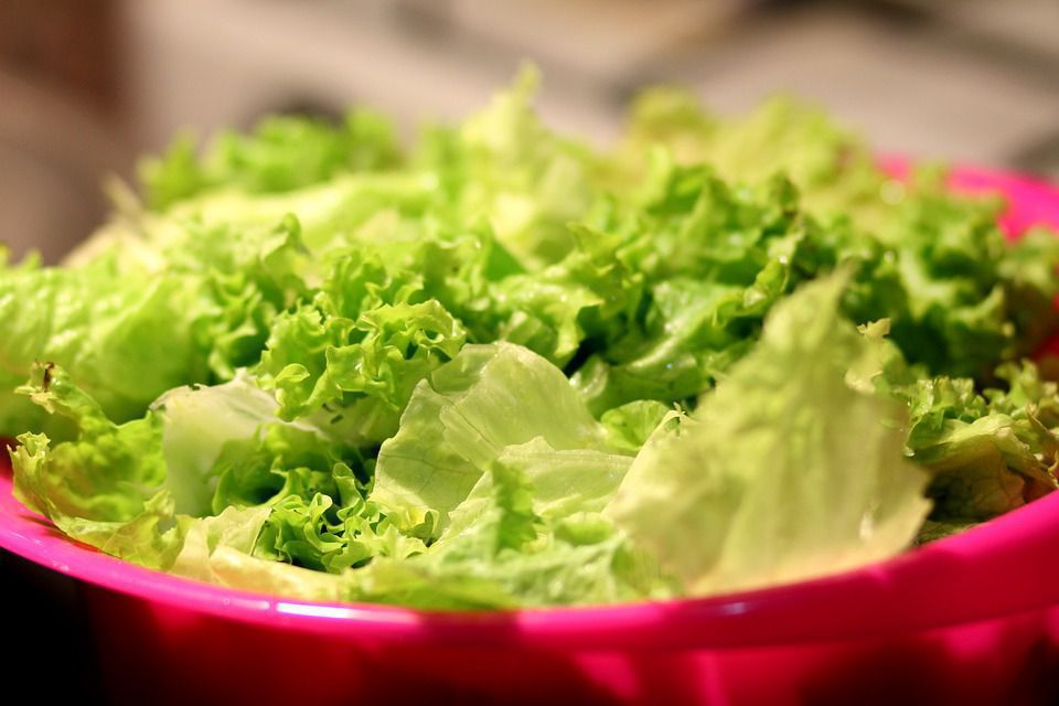 Чому у листя салату з'являється гіркота і чи безпечна вона для організму. Листя салату не усім можна їсти, особливо коли воно гірке.