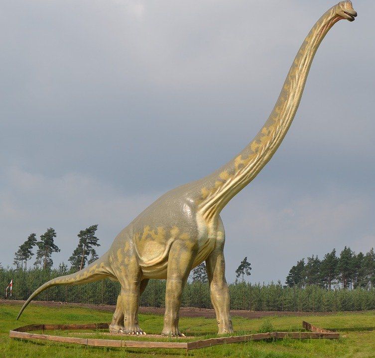У Франції знайдена колосальна стегнова кістка, що належала найбільшому у світі динозавру. Її довжина становить 2 метри, а вага перевершує 500 кг.