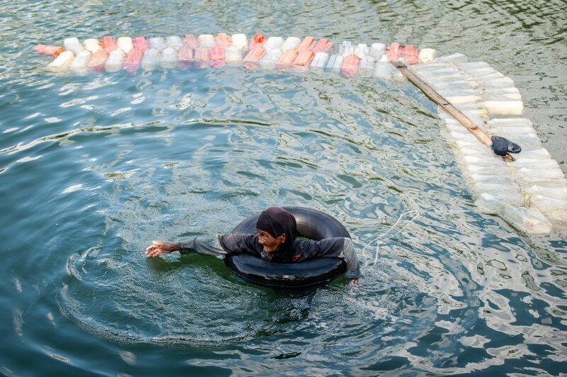 80-річні бабусі плавають по 3 км з 200 каністрами за спиною в пошуках чистої води. Життя в селі Тінамбунг на острові Сулавесі в Індонезії повністю залежить від цих трудівниць.