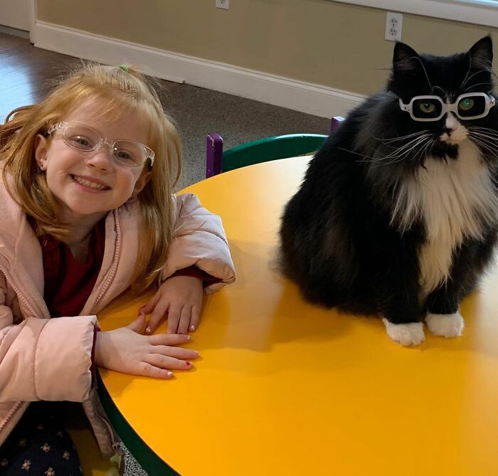 Познайомтесь — кішечка на прізвисько Трюфель, яка надихає дітей з поганим зором носити окуляри. Завдяки чарівній киці діти полюбили свій новий образ.