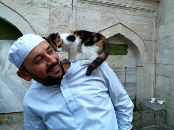 Імам відкрив двері храму для бездомних кішок: одній так сподобалося, що вона вирішила ростити тут дітей. Муркотіння кішки не може перешкодити молитві — так кажуть мусульмани.