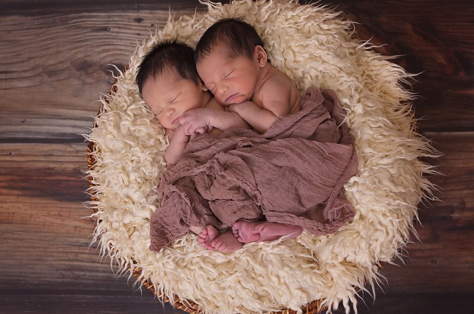 У світі з рекордними темпами народжуються близнюки — висновки вчених. На 42 новонароджених зараз припадає один близнюк.