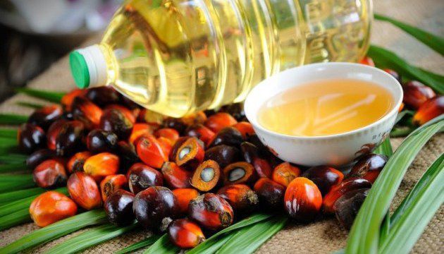 Чи дійсно пальмова олія є шкідливою для здоров'я: спростовуємо 5 головних міфів. Деякі міфи про пальмову олію є хибними.
