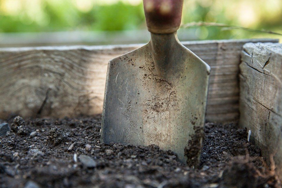 Декілька ефективних способів покращити глинисті ґрунти. Хоч переваг у таких ґрунтів небагато, все ж таки, їх можна зробити ліпшими.