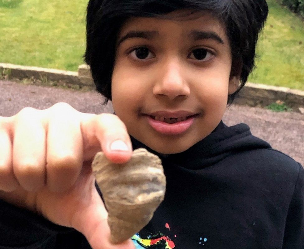 Шестирічний британець знайшов в саду артефакт віком до 500 мільйонів років. Юний археолог був зосереджений на пошуку черв'яків для риболовлі.