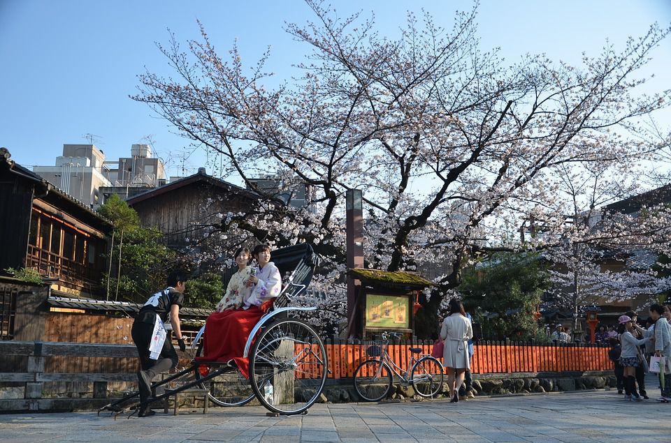 В Японії настав найраніший пік цвітіння сакури за останні 1200 років. Вчені вважають, що це могло статися через глобальне потепління.