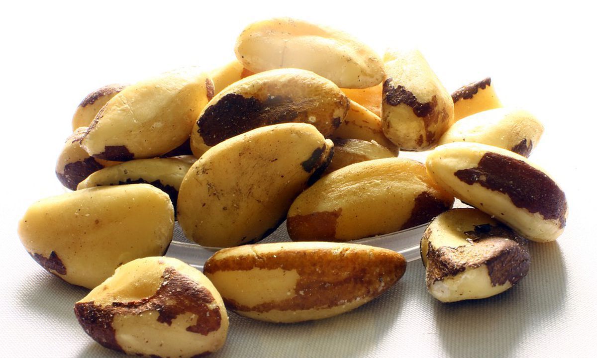 Чим корисні для людей бразильські горіхи. Бразильські горіхи варто додати у свій раціон.