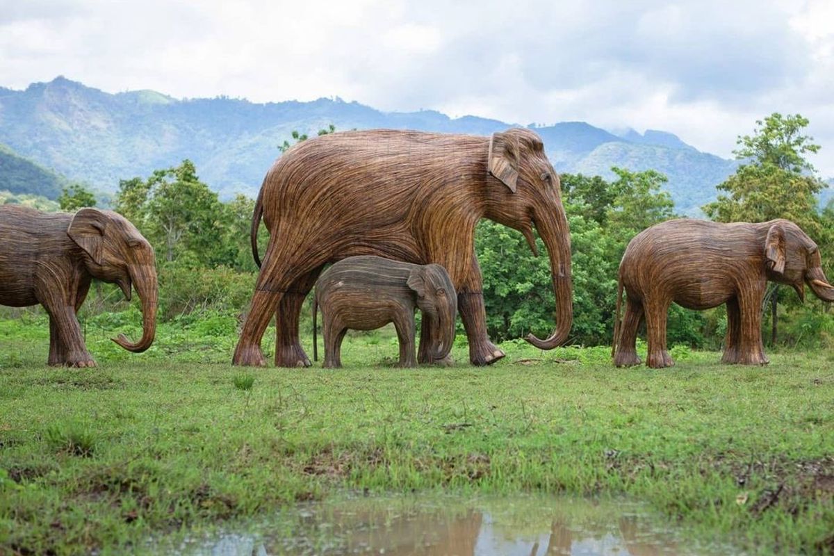Стадо дерев'яних слонів буде подорожувати по планеті, ведучи боротьбу з глобальним потеплінням. Тварини були вирізані вручну індійськими майстрами.