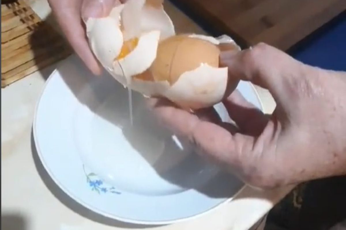 Курочка знесла для своєї господині природний "кіндер-сюрприз", але деякі глядачі вважають це фейком. Жінка показала яйце своєї курки, викликавши запеклі суперечки в коментарях.