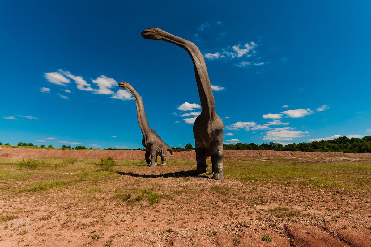 Палеонтологи з'ясували, що динозаври юрського періоду мігрували на сотні кілометрів. Це вдалося встановити по камінню в шлунку.