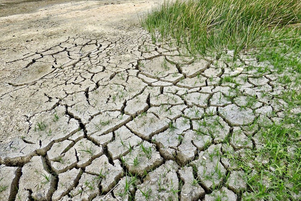 Британські вчені: на Землі залишилися недоторканими тільки 3% суші. Велика частина екологічно незайманих територій знаходиться в Північній півкулі.