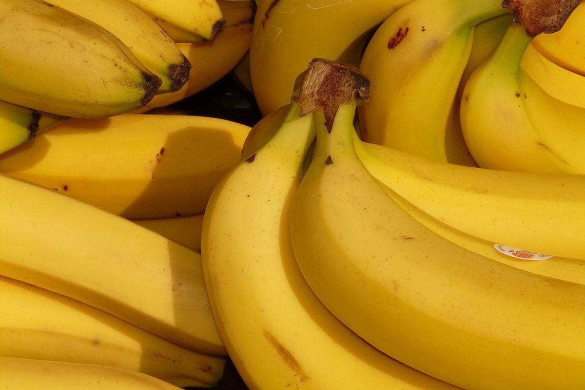 Бананові плантації можуть зникнути через інфекційний грибок, який їх атакує. Встигніть запам'ятати смак бананів.