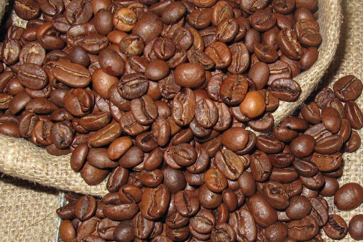 Вчені відкрили новий вид кави, який здатний замінити арабіку після глобального потепління. Кліматичні зміни не залишать людство без улюбленого напою.