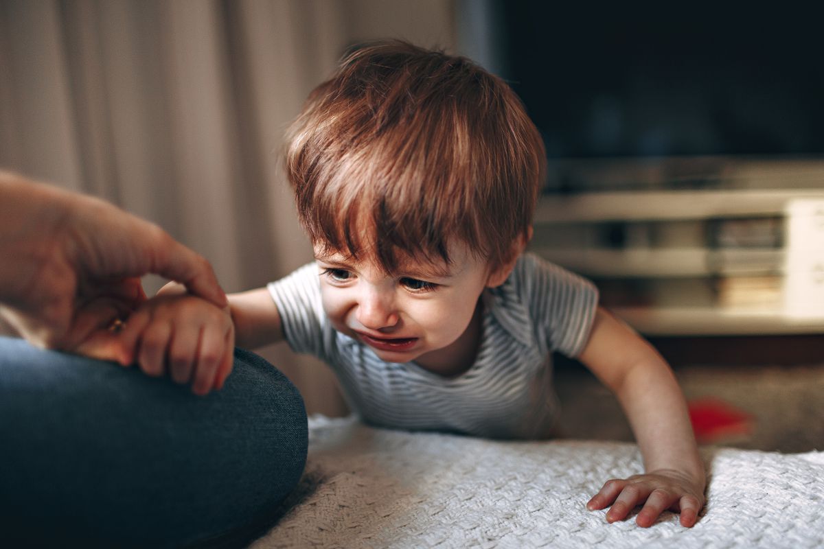 Що відбувається в голові дитини, коли на неї кричать — розповіли нейропсихологи. Не кричіть на дітей!