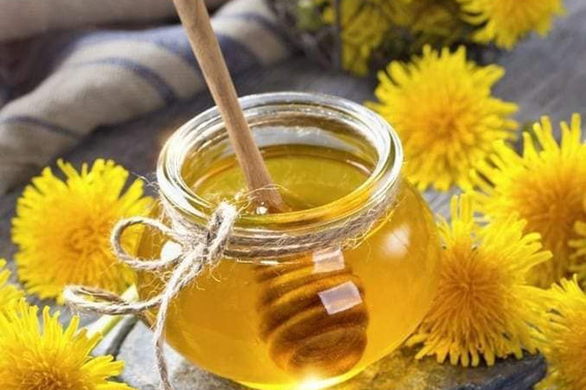 Як правильно зварити корисний мед з кульбаби з лимоном. Рецепт смачного меду.