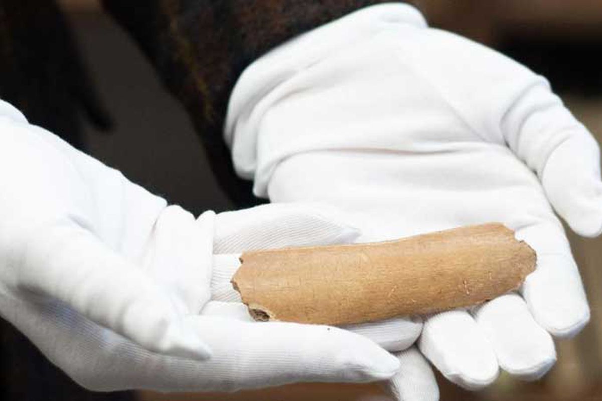 Руни, знайдені на коров'ячих кістках, можуть змінити слов'янську історію. Знахідка датується VII століттям і представляє з себе щось на зразок підручника.