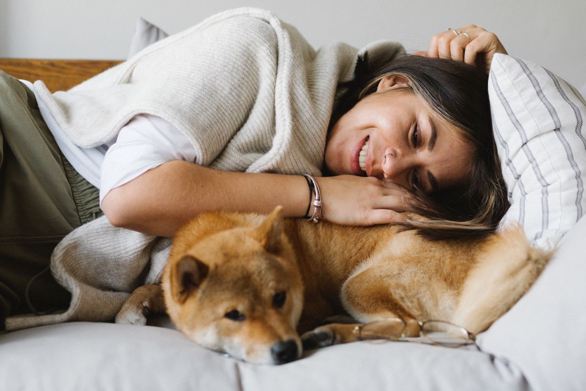 Чому варто завести вдома собаку: 10 вагомих причин. Існує чимало причин, через які варто завести вдома собаку.