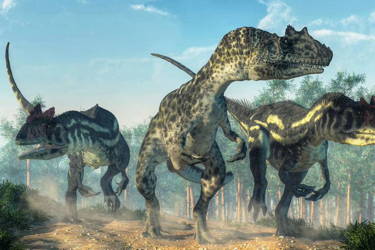 100 млн років тому на місці північноафриканської формації було місце полювання найнебезпечніших хижаків в історії. Концентрація величезних хижих динозаврів в цьому районі буквально зашкалювала.