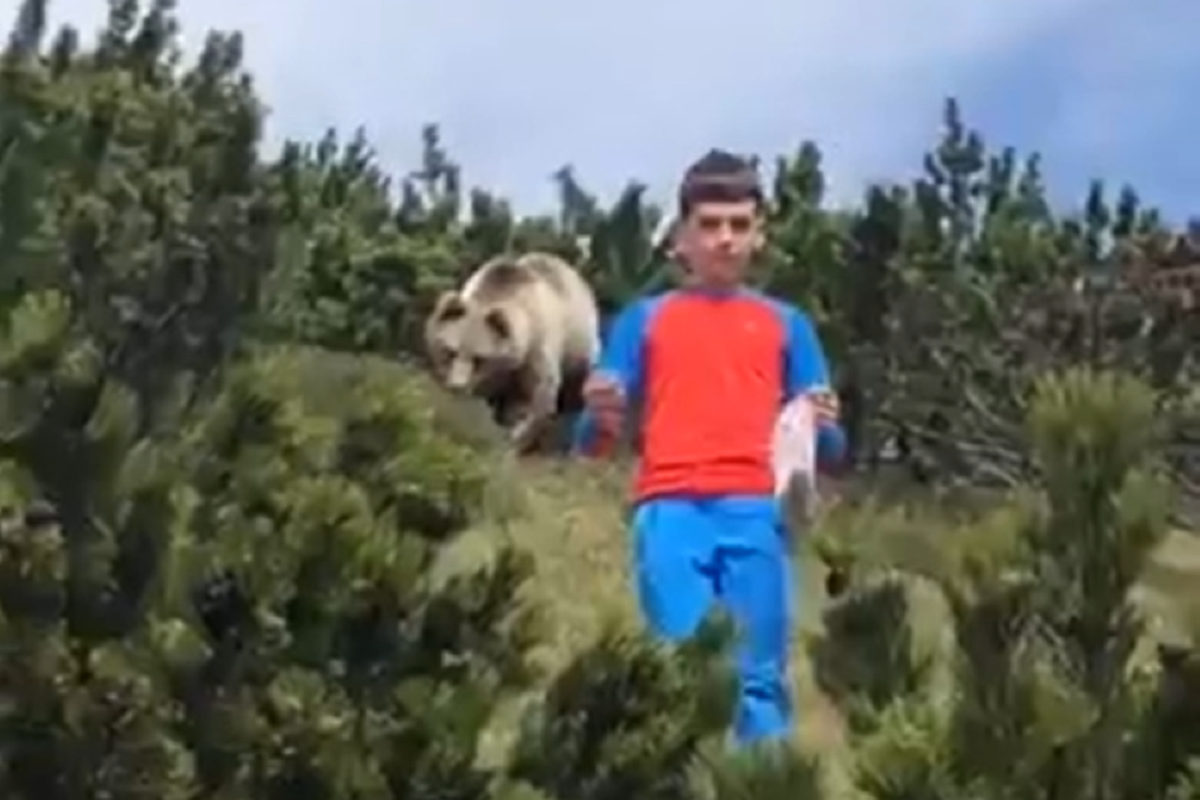 Під час відпочинку в горах 12-річний хлопчик вижив після зустрічі з ведмедем. Дитину врятувало самовладання і чіткі команди дорослих.