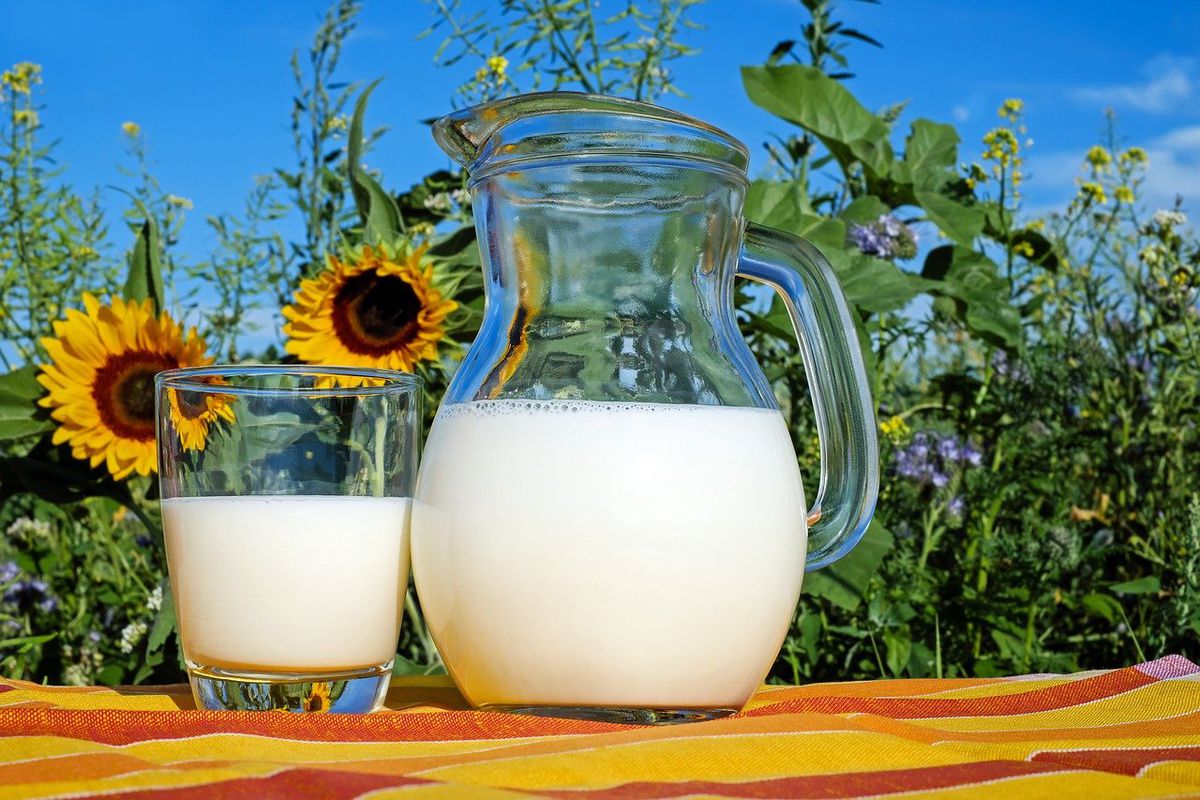 Міжнародна команда вчених виявила — часте вживання молока не підвищує рівень холестерину. Зв'язок між молоком і холестерином спростований.