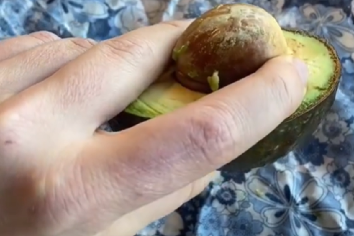 Австралійка поділилася лайфхаком видалення кісточки з авокадо. Підписників сильно здивував цей простий спосіб.