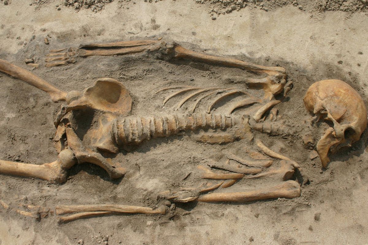 Двоє родичів-вікінгів возз'єдналися в Національному Музеї Данії через 1000 років. Дослідники встановили генетичний зв'язок між останками, знайденими в різних місцях.