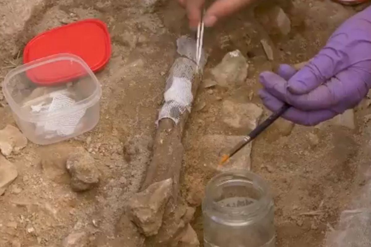В іспанській печері вчені виявили кілька кісток, що належать жінці, яка жила 14000 років тому. Верхньопалеолітичну знахідку назвали Лінья.