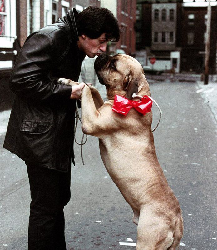 Відомий голлівудський актор розповів про свій безгрошовий період в житті. І про свого пса Буткуса.