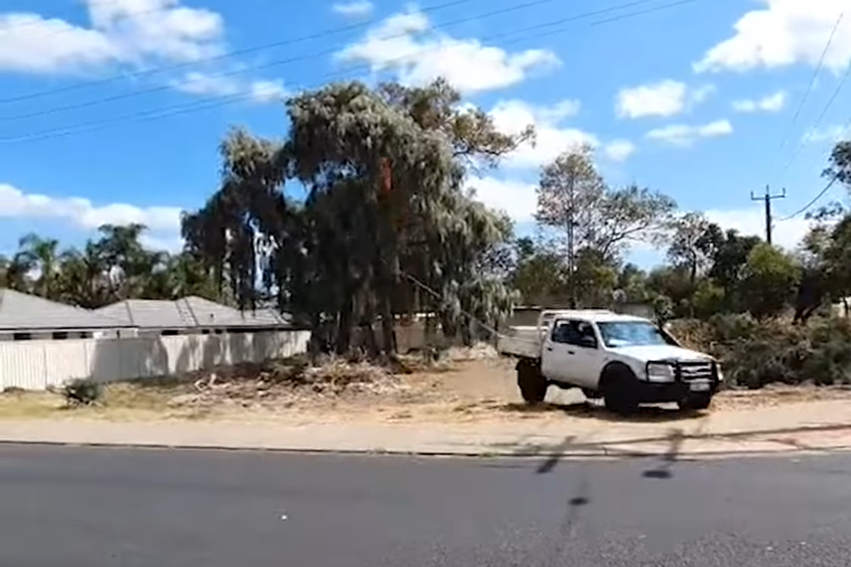 Австралійський жартівливий метод боротьби з непотрібними деревами за допомогою авто. Дивак придумав, як швидко розправитися з деревом.