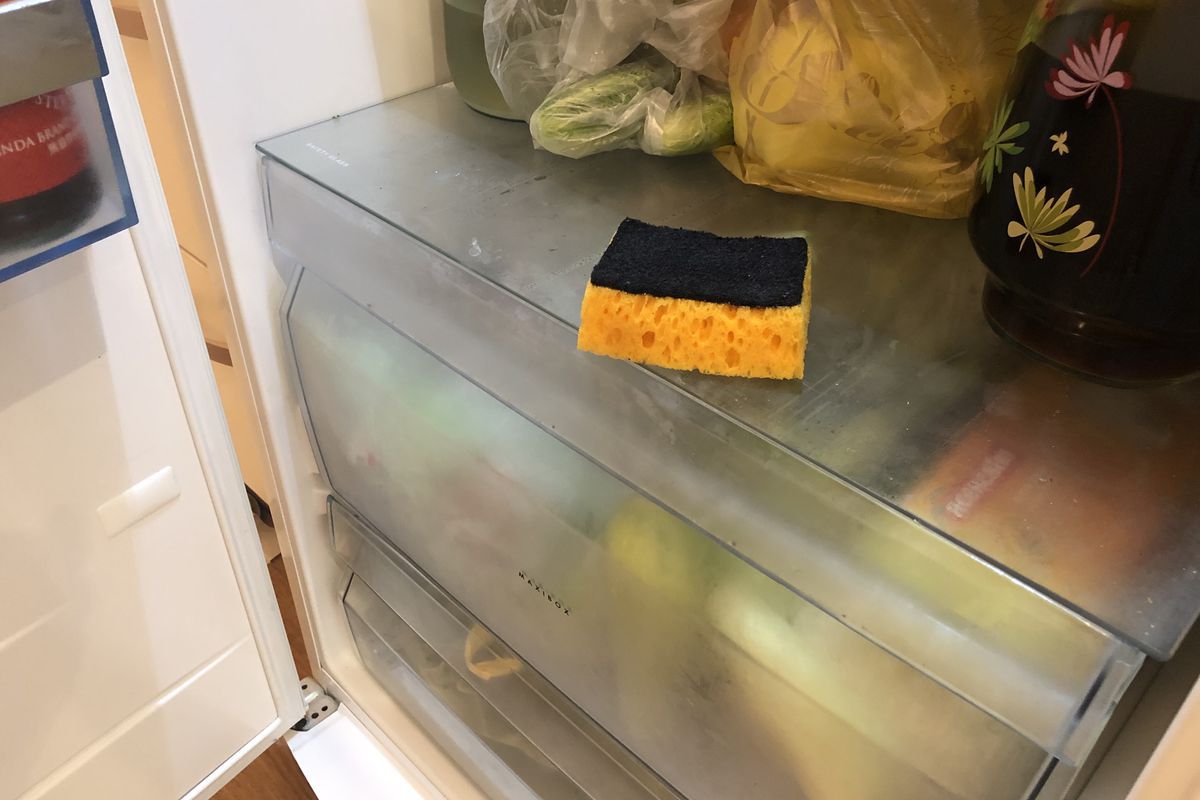 Навіщо домогосподаркам зберігають господарську губку в холодильнику. Прибрана в холодильник губка може зіграти вирішальну роль в збереженні свіжості і смаку продуктів.