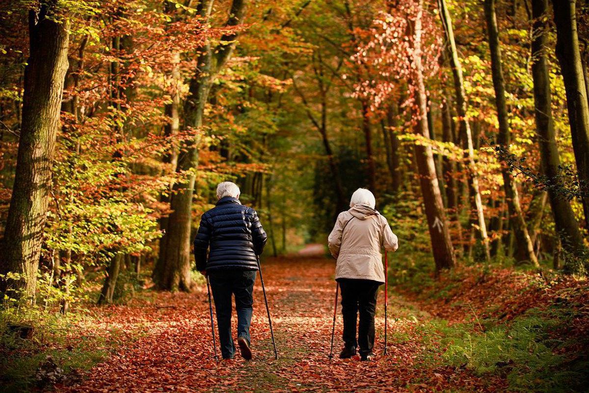 Вчені довели, що гарною профілактикою старечої деменції є проста вправа. Проста вправа може убезпечити людей від розвитку старечої деменції.