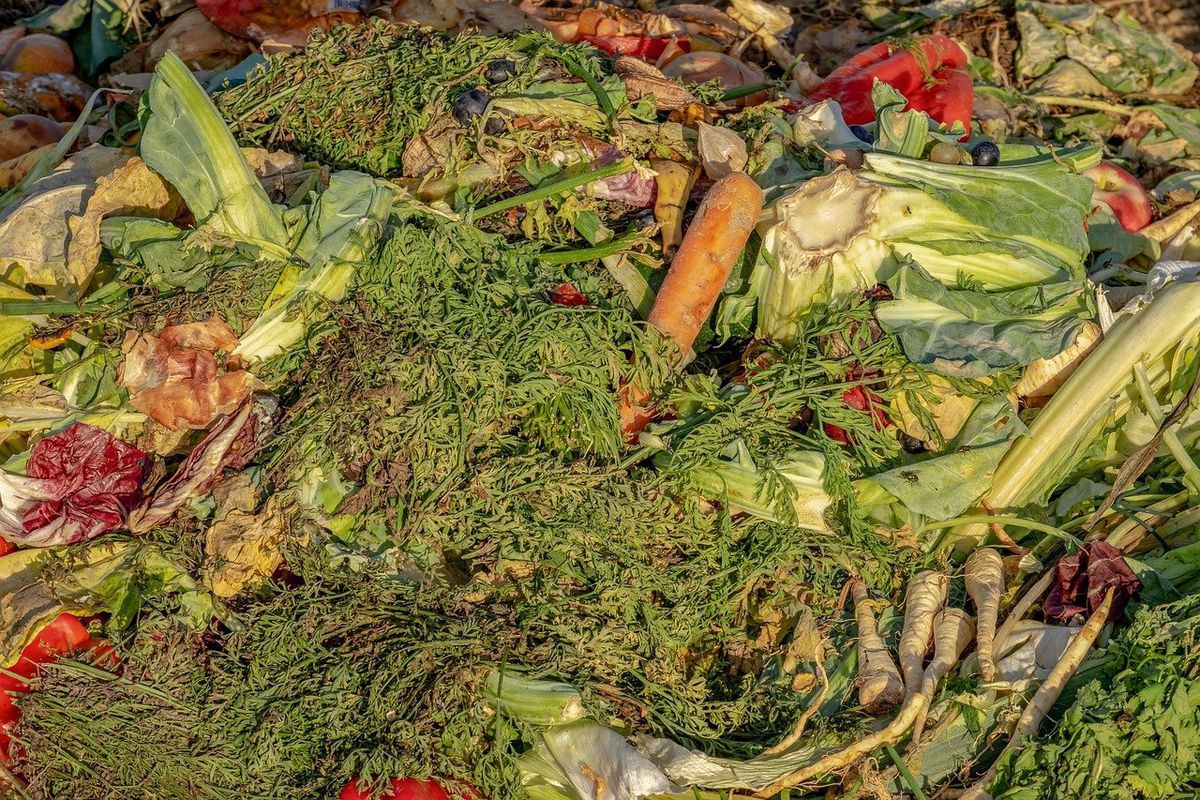 2,5 мільярда тонн продуктів щорічно стають відходами, навіть не потрапляючи на полиці магазинів. На овочі та фрукти, що гниють, доводиться 10% всіх викидів парникових газів.