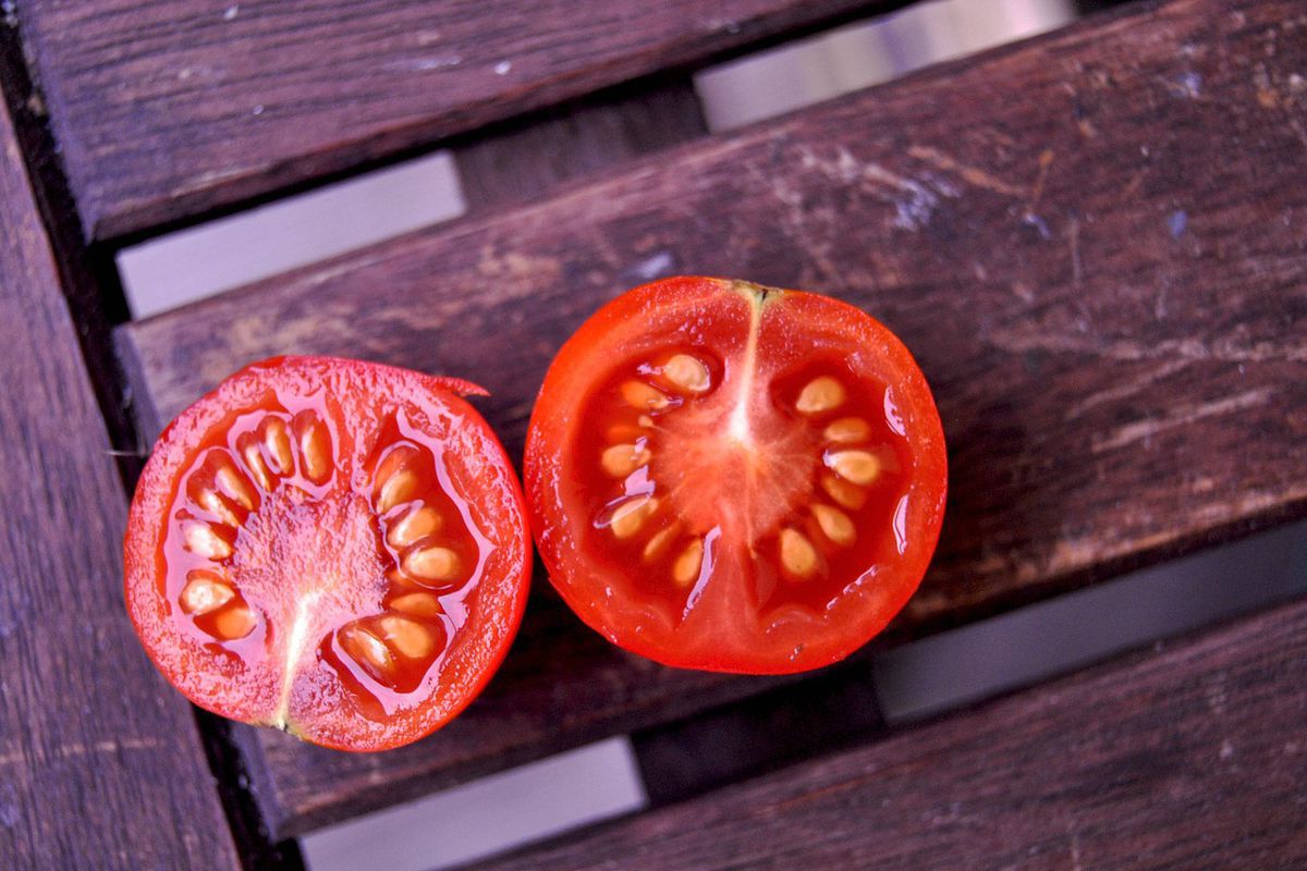 Як заготовити насіння помідорів в домашніх умовах. Чому не можна брати помідори на насіння з верхніх гілок.