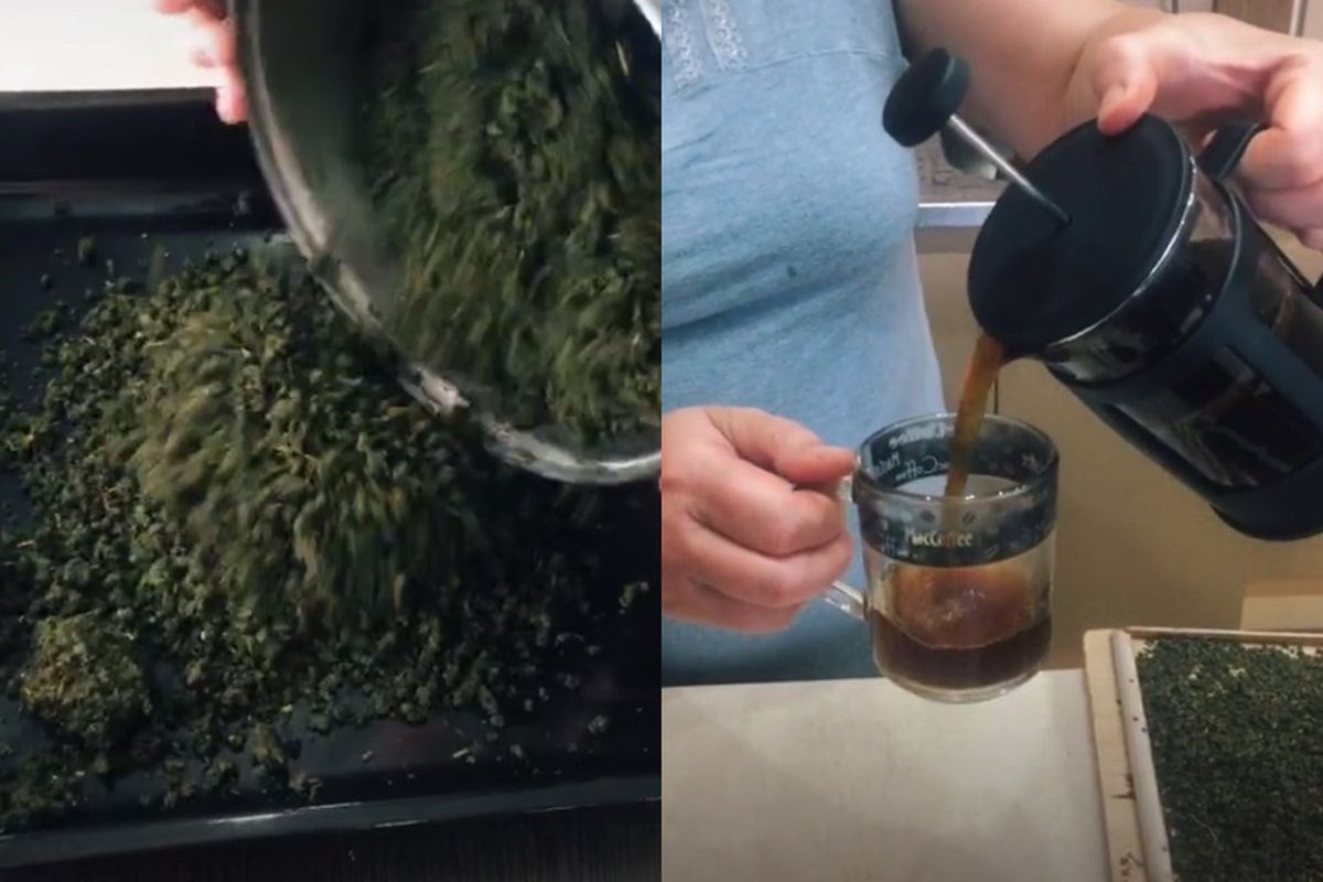 Як заготовити на зиму домашній ароматний чай з листя малини. Детальний опис процесу ферментації.