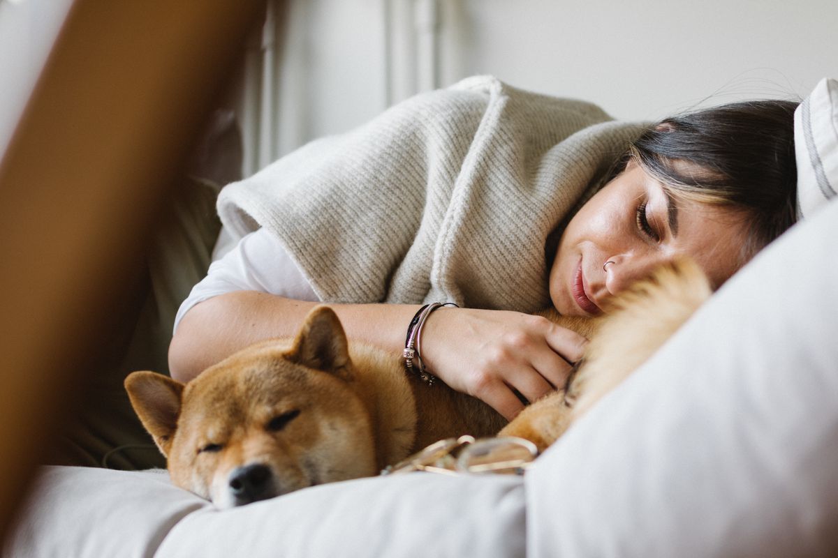 З яких причин краще не спати з домашніми улюбленцями. Існують певні причини для відмови від сну з домашніми тваринами.