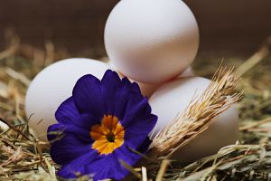 Яйце з кров’ю прикмети: вірування, знаки і традиції