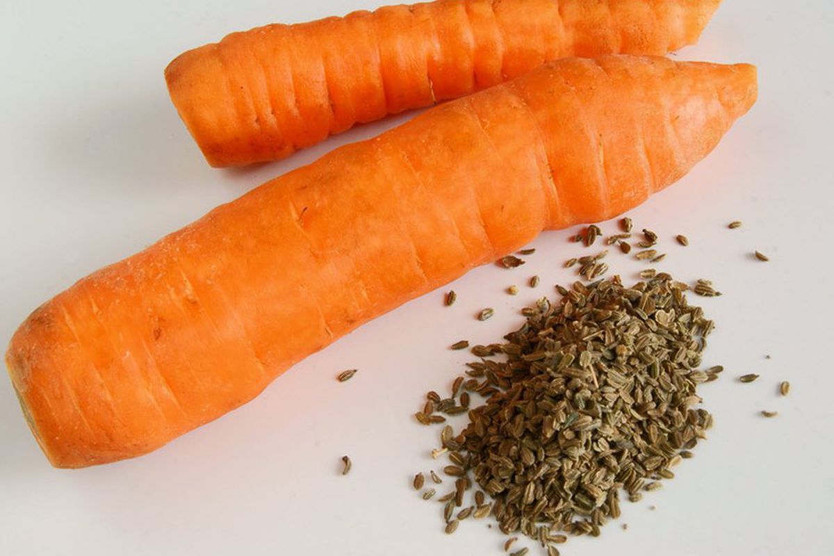Корисні поради щодо отримання власного насіння моркви. Отримати насіння моркви можна й самостійно.