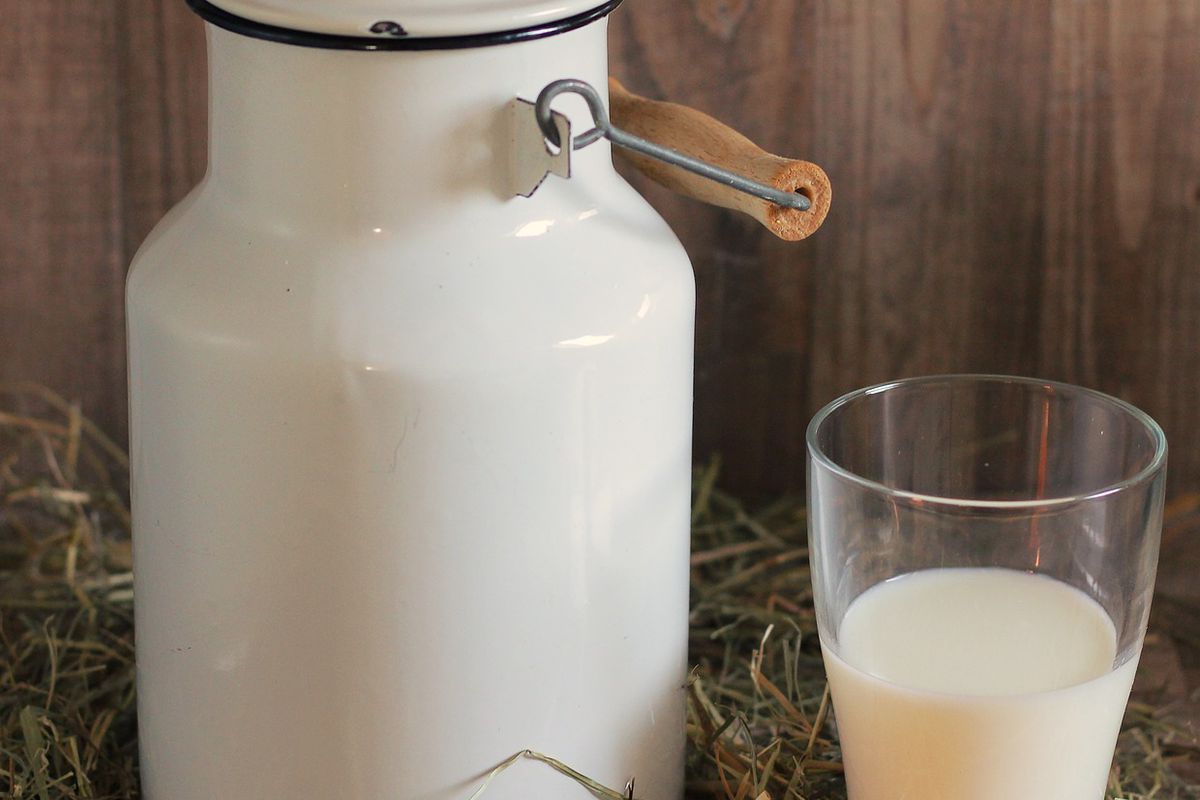 Чому молоко не прокисає, а починає гірчити — основні причини. Чим обумовлений гіркий присмак молока.